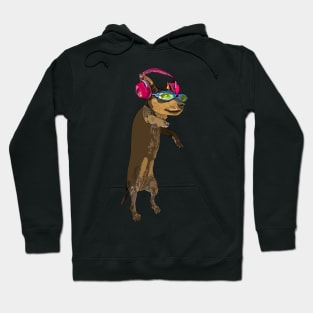 Puppy listening to headphones Hoodie